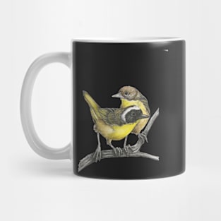 Common Yellowthroat Warbler Mug